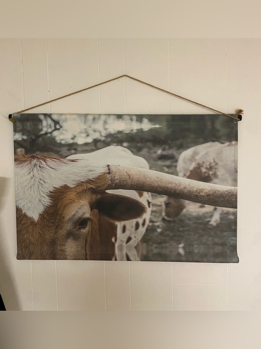 Hobby Lobby Longhorn Canvas Wall Hanging - Brown & White